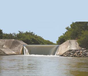 Urbanismo amenaza a manglar de Boca del Río