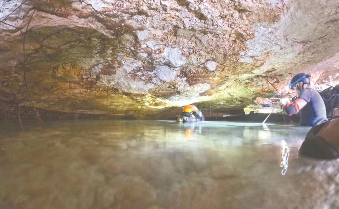 La cueva hallada por el hundimiento en una carretera de Tulum tiene aguas cristalinas y vestigios que datan de los periodos del Pleistoceno y Holoceno, de acuerdo con el Círculo Espeleológico del Mayab. Foto: CORTESÍA CÍRCULO ESPELEOLÓGICO DEL MAYAB