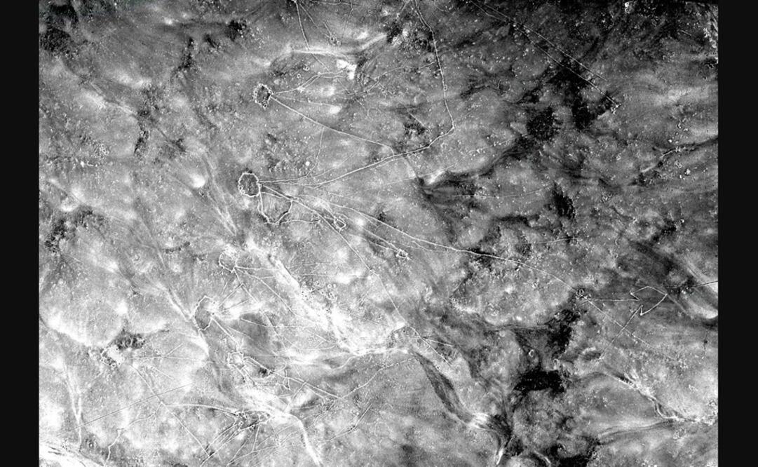 Foto: Universidad de Penssylvania