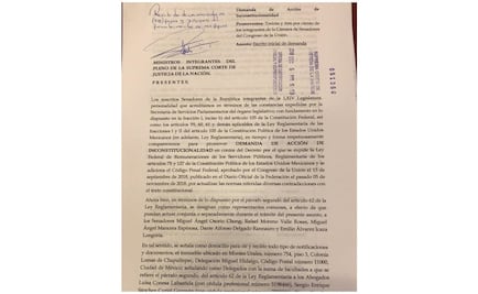 Senadores presentan ante Corte acción de inconstitucionalidad contra Ley de Remuneraciones