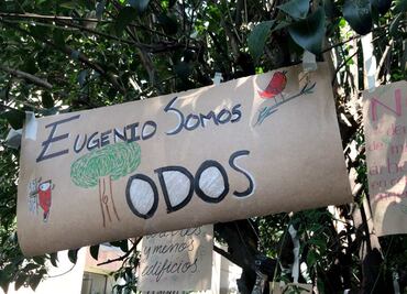 Eugenio no se quita: Batres respalda a vecinos de Benito Juárez para mantener árbol de 150 años ante proyecto inmobiliario