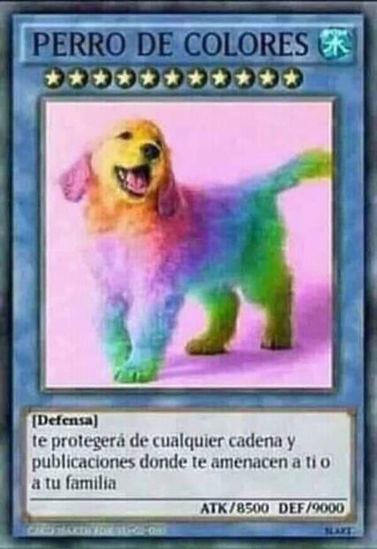 ¿Por qué dicen que "ellos la empujaron" en redes sociales?