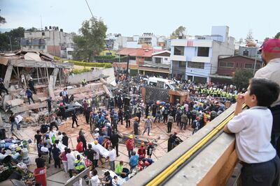 “Mi perro Dingo sabía que había niños ahí abajo”