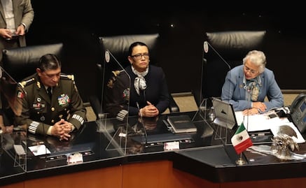 No venimos a ganar la guerra sino la paz: Rosa Icela Rodríguez al comparecer ante el Senado