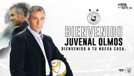 Tiburones Rojos confirman a Juvenal Olmos como nuevo técnico
