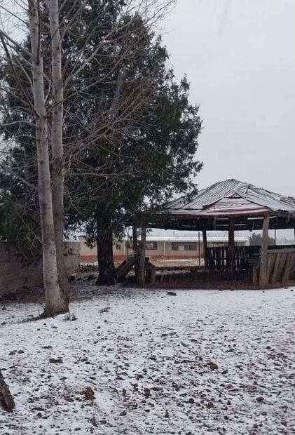 Por fuerte nevada, cierran tránsito en carretera Ímuris-Cananea, Sonora