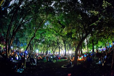 Échale una flor: los jardines botánicos más bonitos de México