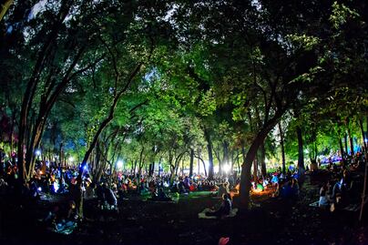 Échale una flor: los jardines botánicos más bonitos de México