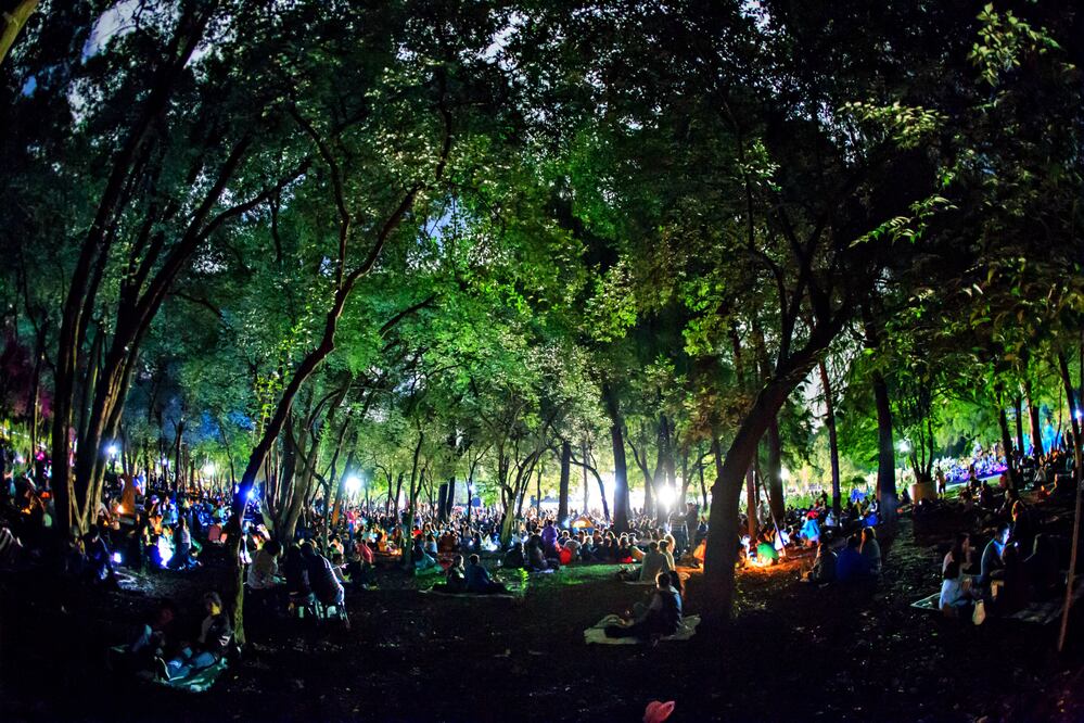 En el Jardín Botánico de Chapultepec, una vez al mes se organizan picnics nocturnos. (Foto: Cortesía SEDEMA)
