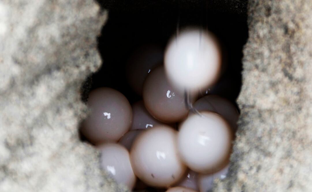 Foto: Archivo/ Cuartoscuro