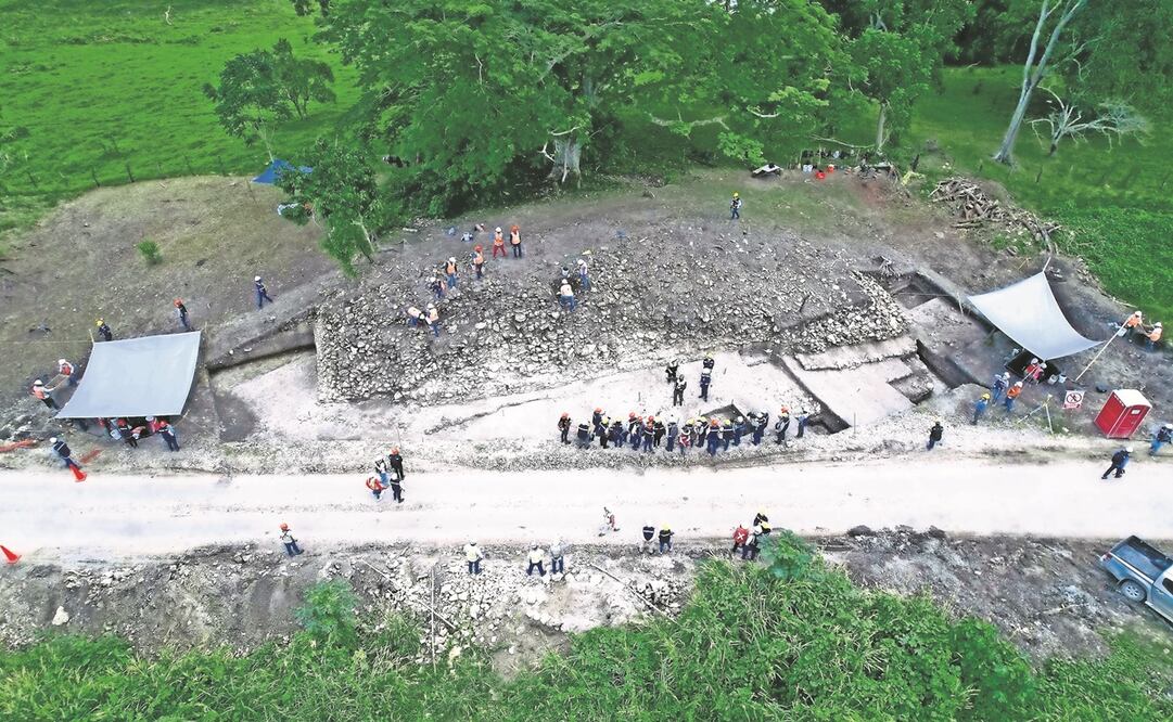 Especies en peligro de extinción que habitan en los terrenos donde se construye el Tren Maya se encuentran en riesgo por complicidad de Semarnat, denuncia una asociación ambiental.