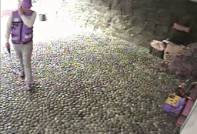 Asaltan viviendas con disfraz de GDF