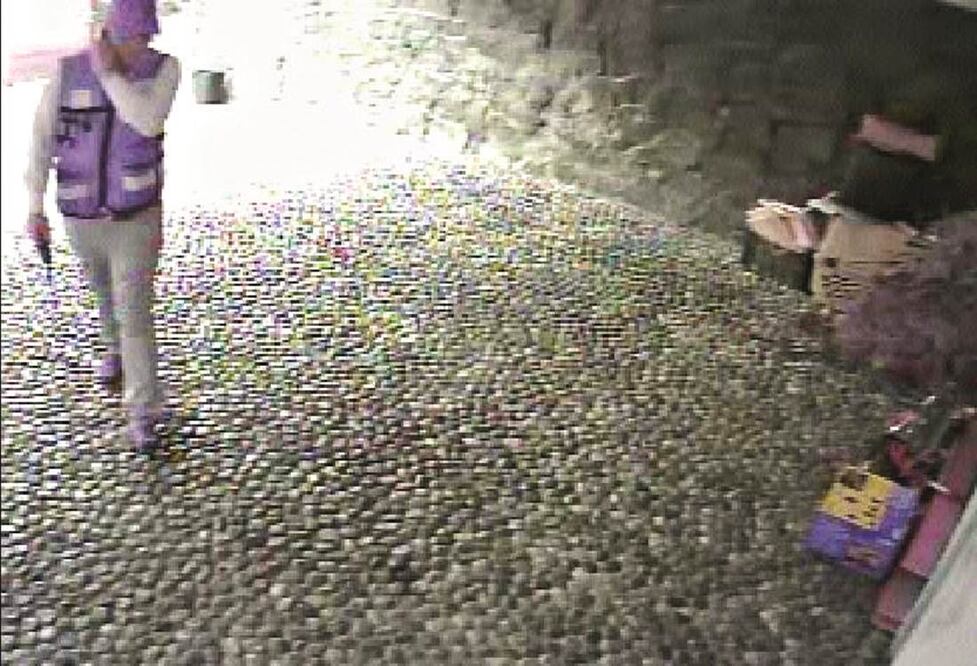 Dos mujeres y varios hombres, con chalecos de Sacmex, entraron a una vivienda con engaños, donde luego sustrajeron cosas de valor (TOMADA DE VIDEO)