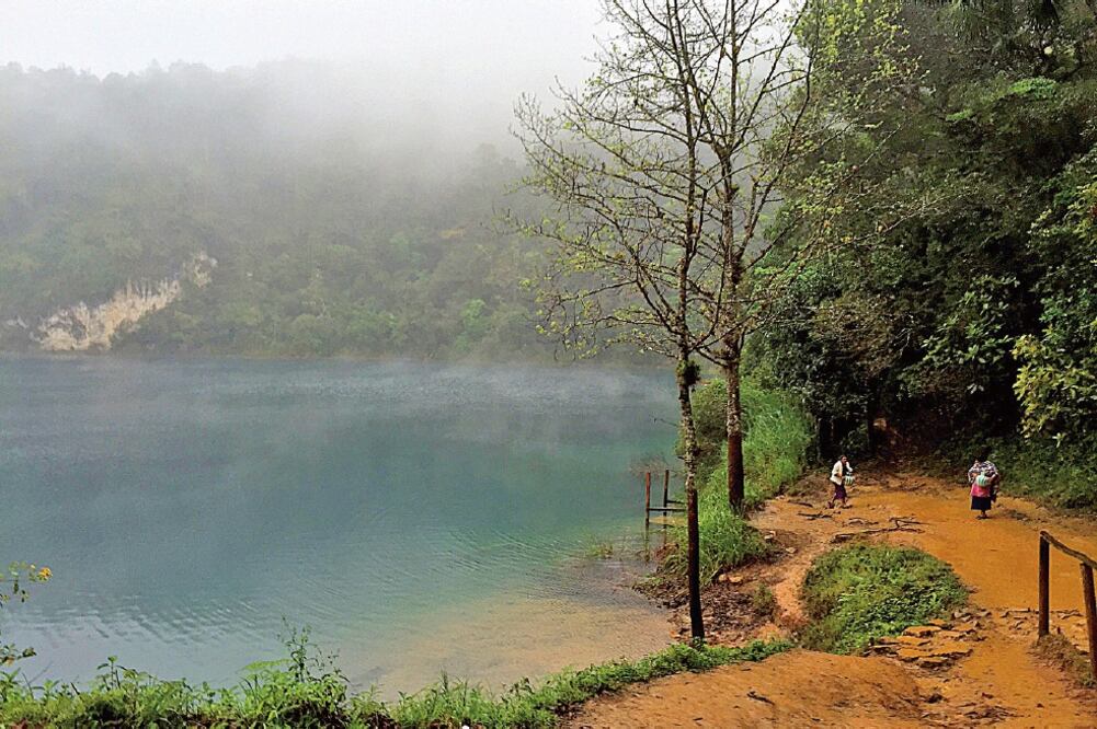 El sistema lacustre contaminado se integra por los lagos La Encanta, Bosque azul, El Potrero, Yalmuz, San Lorenzo, Liquidámbar, Chachaj y Balantetik (FREDY MARTÍNEZ. EL UNIVERSAL)