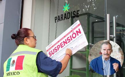 ¿Qué es y cuáles son los efectos del cannabis, droga utilizada en productos de Paradise?; tienda está ligada a Vicente Fox