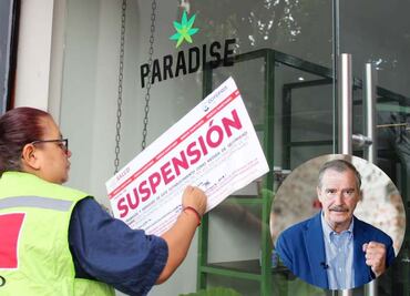¿Qué es y cuáles son los efectos del cannabis, droga utilizada en productos de Paradise?; tienda está ligada a Vicente Fox