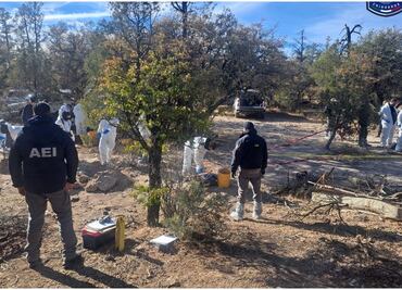 Suman 33 cuerpos inhumados en fosas clandestinas en "El Willi" en Casas Grandes, Chihuahua; continúan trabajos de identificación