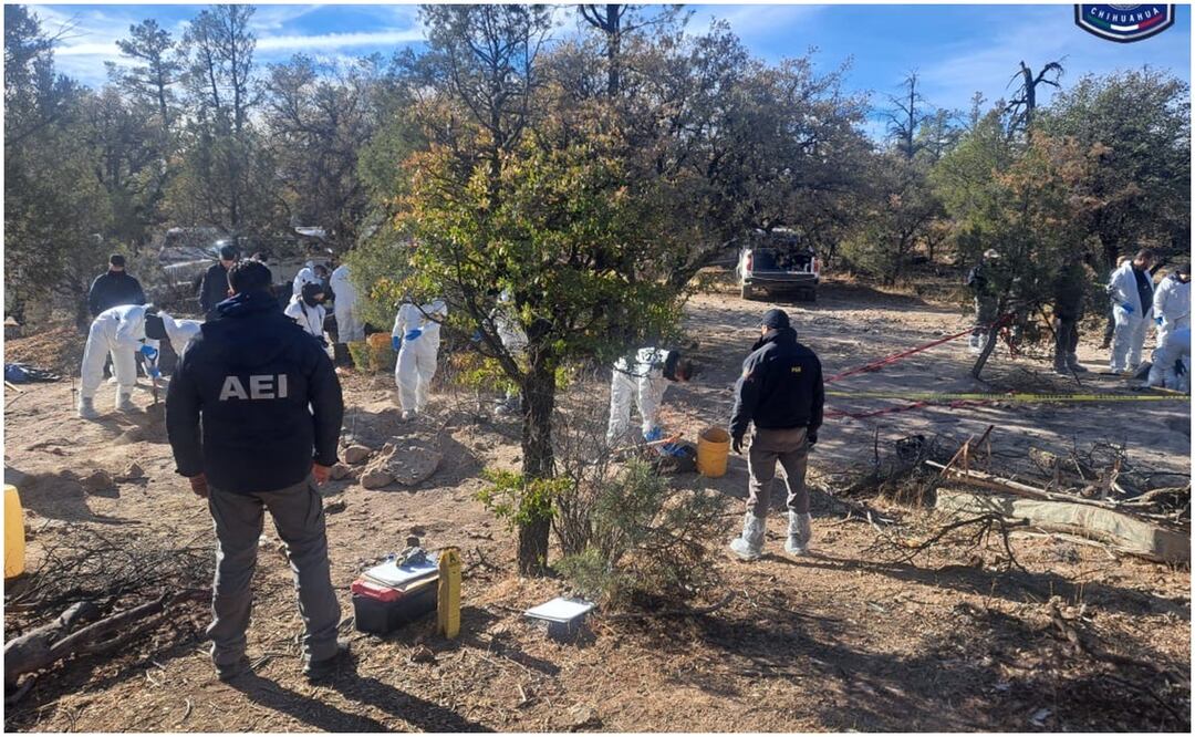 La FGE detalló que continúa el operativo de búsqueda en el predio conocido como “El Willi” en Casas Grandes, Chihuahua (23/01/2025). Foto: Especial