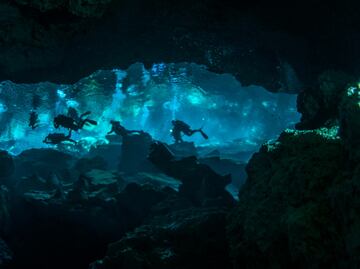 Tirolesas, kayaks y más experiencias en los cenotes de Yucatán
