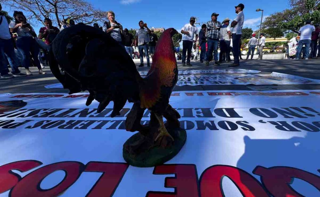 El jueves, dueños de granjas de gallos de pelas y aficionadas a este tipo de eventos se manifestaron en Tuxtla. Foto: Especial (17/01/2025)
