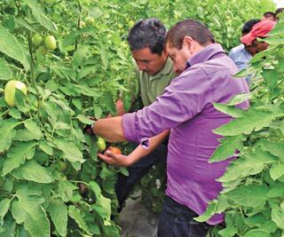 Pandemia y racismo castigan a migrantes en Hidalgo