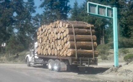 Vecinos acusan ecocidio en bosque de Huixquilucan