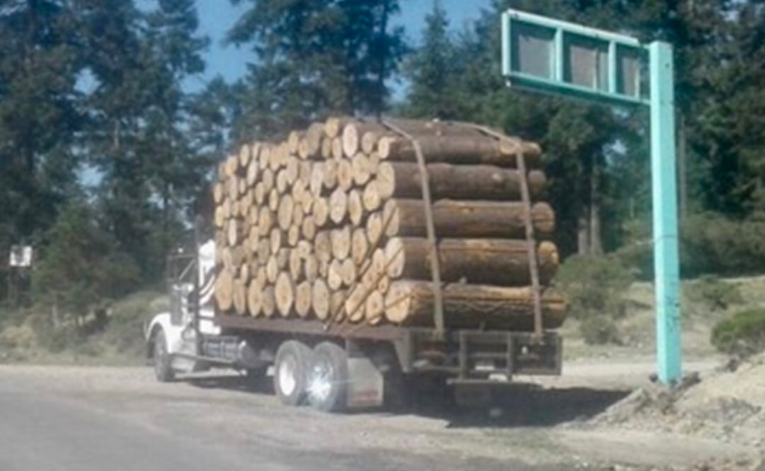 Habitantes de Piedra Larga y Loma Larga en Huixquilucan, señalaron su preocupación por el derribo de árboles en bosque ubicado en las inmediaciones del cerro de La Campana, zona limítrofe con Lerma. (Fotografía: @MartinMG1 )