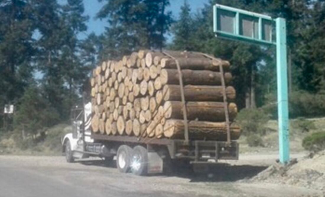 Habitantes de Piedra Larga y Loma Larga en Huixquilucan, señalaron su preocupación por el derribo de árboles en bosque ubicado en las inmediaciones del cerro de La Campana, zona limítrofe con Lerma. (Fotografía: @MartinMG1 )