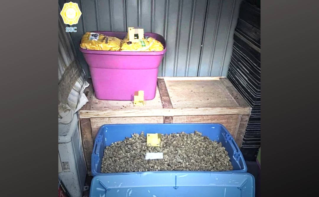 Cateos simultáneos en distintos domicilios en la colonia Anáhuac llevaron a asegurar más de mil cigarrillos presuntamente elaborados con marihuana. | Foto: Especial.