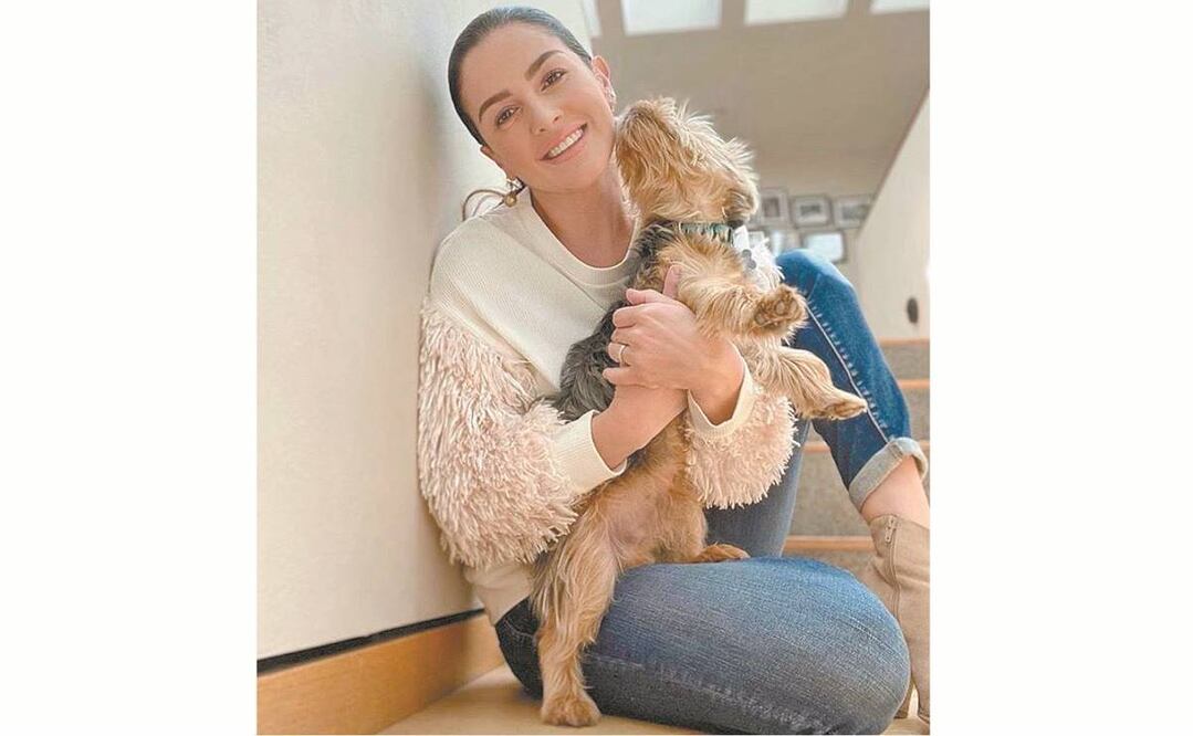 Tardaron tres meses en recuperar a su mascota. Foto: LIDIA ÁVILA