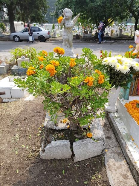 Azcapotzalco, lugar de panteones y animeros 