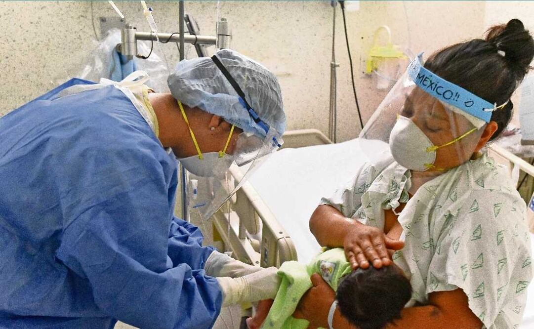 En el feto, el intestino sería el órgano receptor del virus. Foto: Crisanta Espinosa Aguilar/ cuarto oscuro