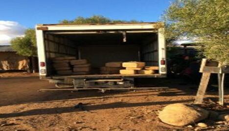 Decomisan cargamento de marihuana en BC