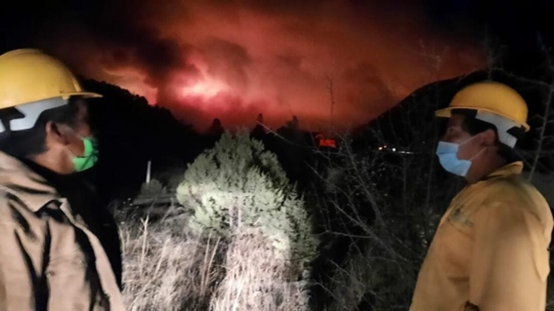 Incendio forestal en la Sierra de Arteaga, Coahuila, destruye dos mil hectáreas