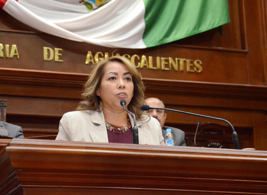Diputada Silvia Alaniz (Foto: tomada de H. Congreso del Estado de Aguascalientes)