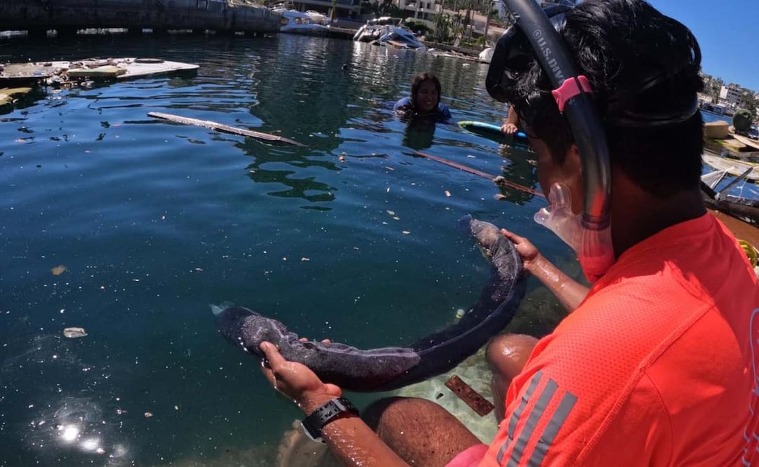 Cabello humano, alternativa para limpiar derrames en el Golfo de México (26/03/2026). Foto: Facebook Ola del Cambio