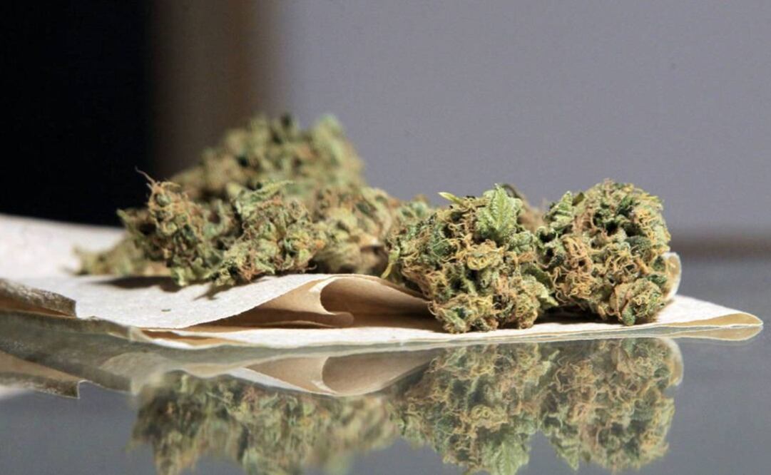 Cuatro yucatecos obtuvieronu un amparo en un juzgado de distrito para poder consumir marihuana en forma legal. Foto: Archivo /EL UNIVERSAL