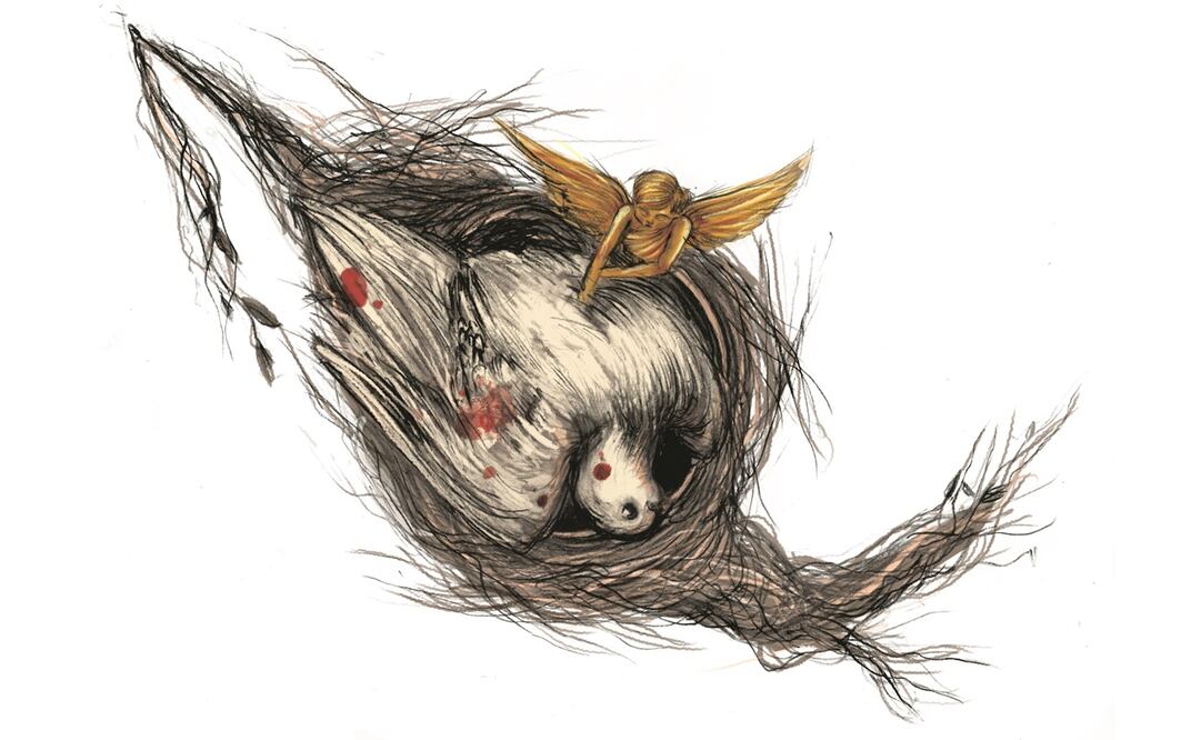 Ilustración: ROSARIO LUCAS