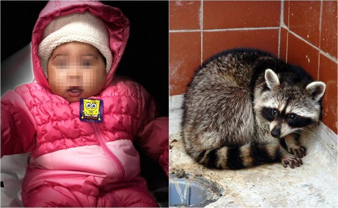 Foto: www.gofundme.com / Archivo / EL UNIVERSAL