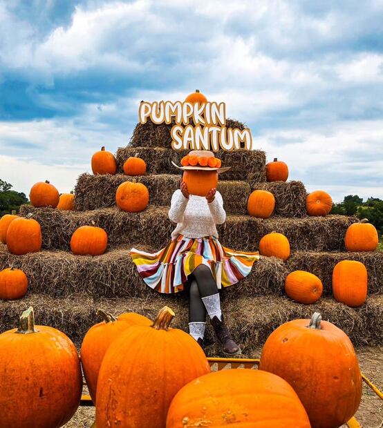 Con escenarios otoñales, calabazas y cempasúchil, esto es lo que habrá en el Festival Entre Cempasúchil en Tlaxcala. Foto: Cortesía Santum