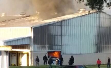 Grupos armados incendian dos empaques de aguacates en Michoacán