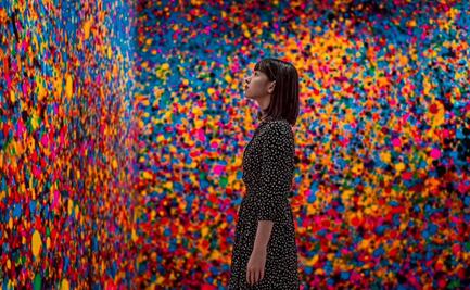 Cuánto cuesta entrar a la experiencia inmersiva Imagine Museum