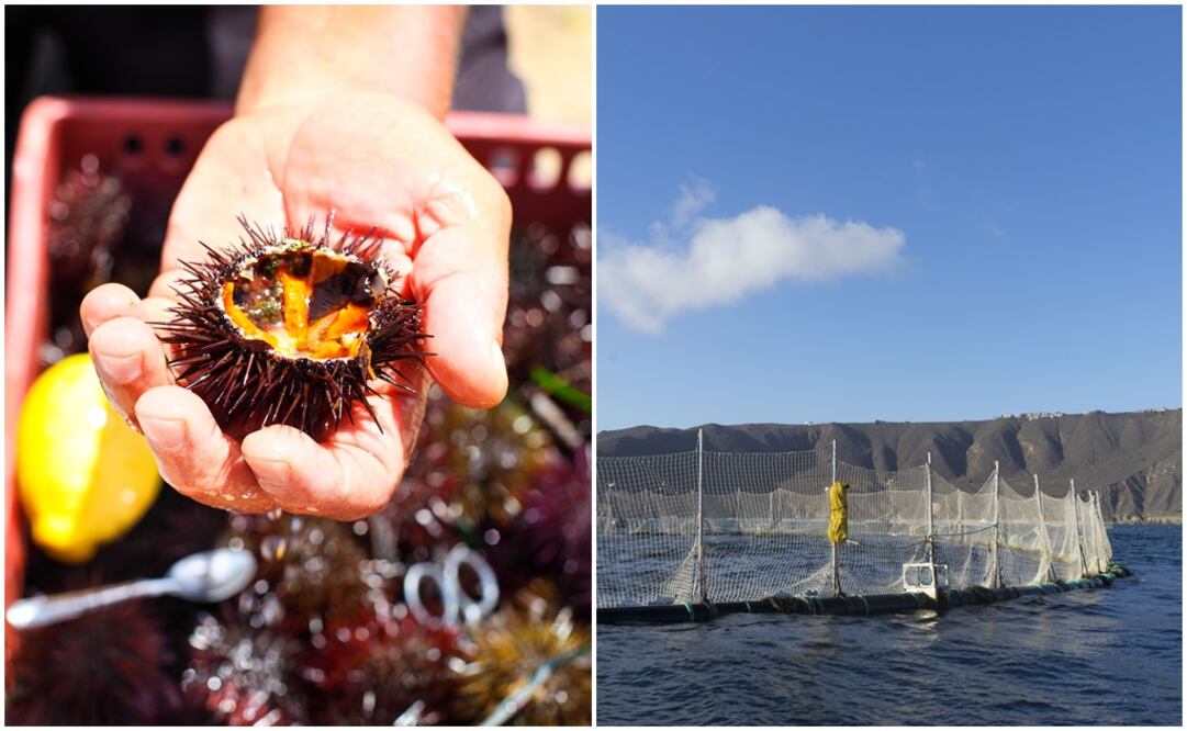 Fotos: istock / Mariana Castillo