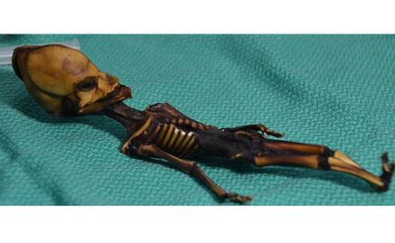 Resuelven el misterio del 'alien' de Atacama