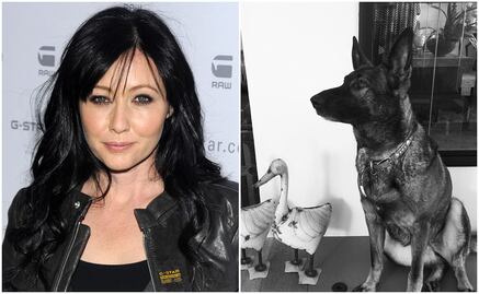 Shannen Doherty asegura que su perro detectó su cáncer