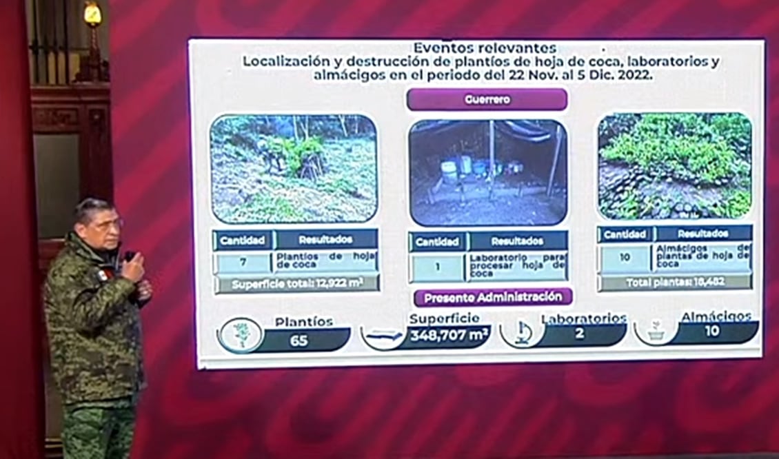 Luis Cresencio Sandoval González, secretario de la Defensa Nacional (Sedena), informó que en cuatro años de gobierno, se han detectado 65 plantíos de hoja de coca. Foto: especial