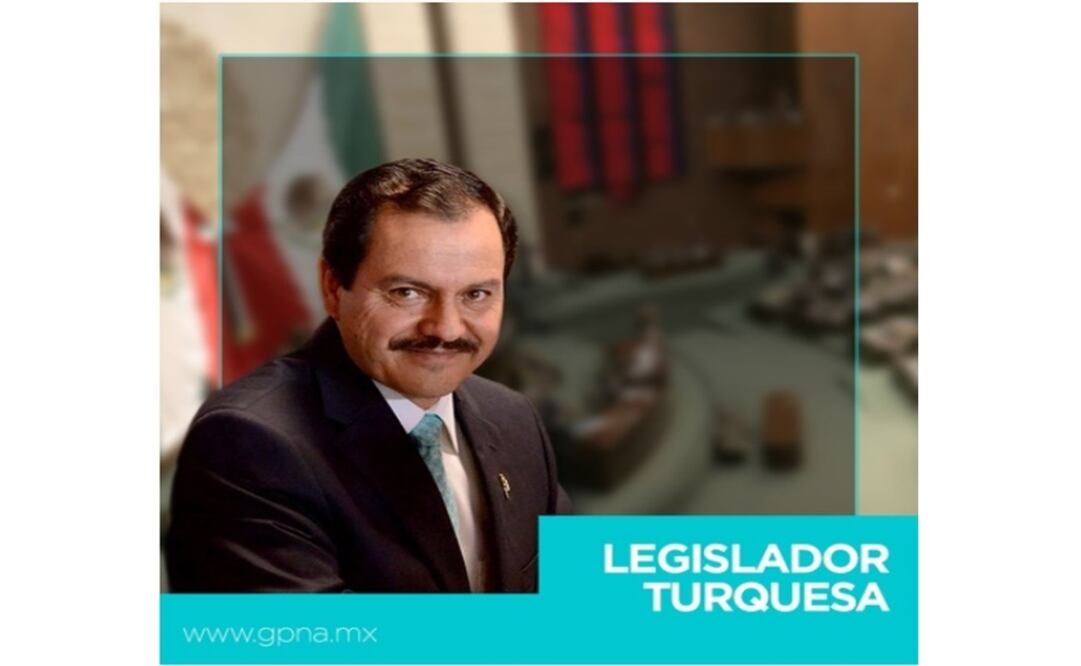 Tomada del portal del GP de Nueva Alianza. /Especial