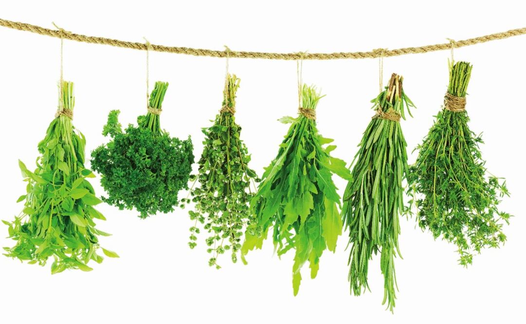 The herbs can be used either dried or fresh - Photo: File Photo/EL UNIVERSAL