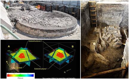 México: Los hallazgos que marcaron 2016