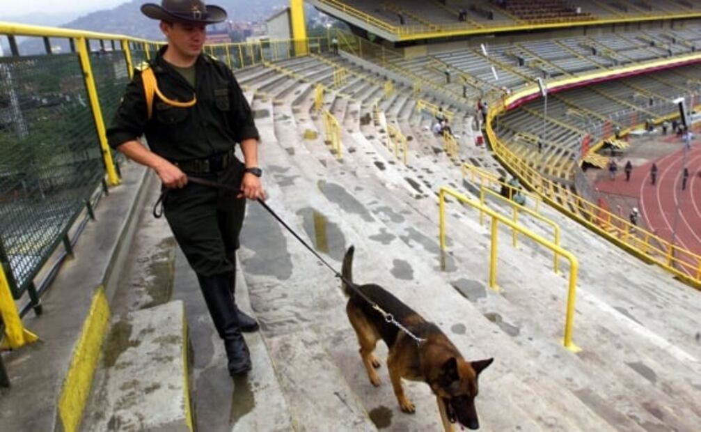 Día del Perro 2022: Hasta ellos han sido amenazados de muerte por el narco